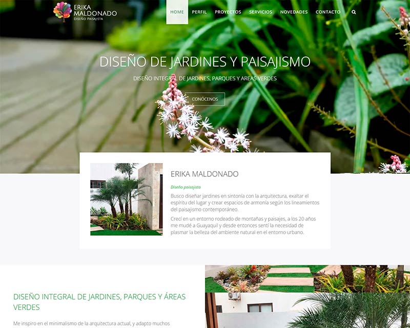 disenioweb-wordpress-13